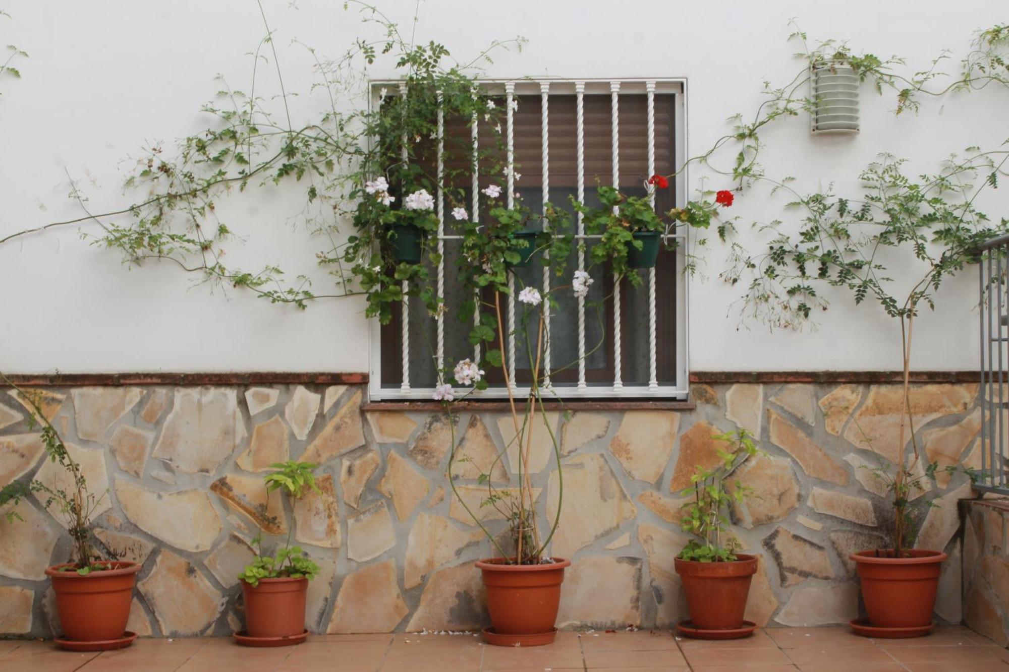 Casa Secreta Velez-Malaga Centro Apartment Exterior photo